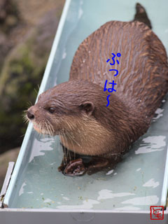 20131008_10.jpg