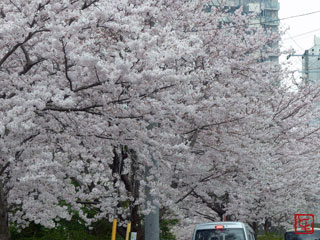 20150401_1.jpg