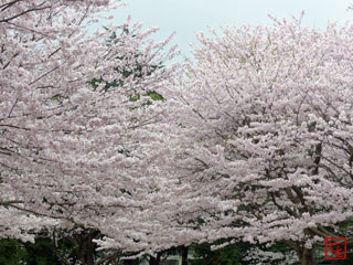 20150401_2.jpg