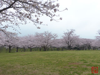 20150401_3.jpg