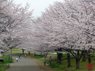 20150401_4.jpg