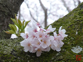 20150401_6.jpg