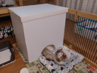 20151108_1.jpg