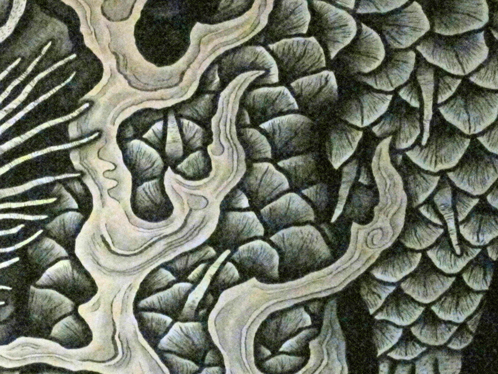 j建仁寺法堂天井画双龍部分2.jpg