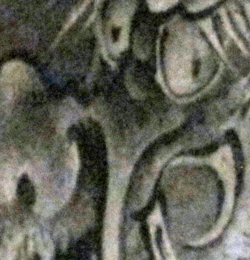 m建仁寺4.jpg