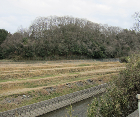 w叶匠壽庵寿長生の郷道のり.jpg