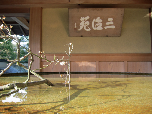 yv叶匠壽庵寿長生の郷長屋門.jpg