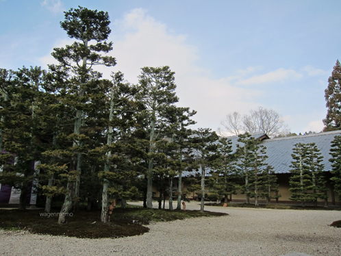 yz叶匠壽庵寿長生の郷松.jpg