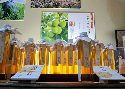 e滋賀叶匠寿庵梅酒梅の蔵大津.jpg