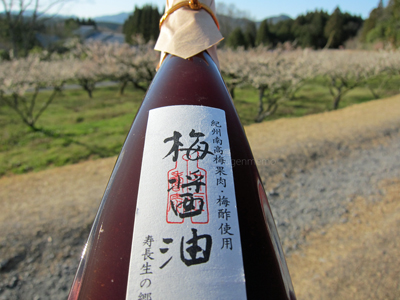 uかのうしょうじゅあんすない.jpg