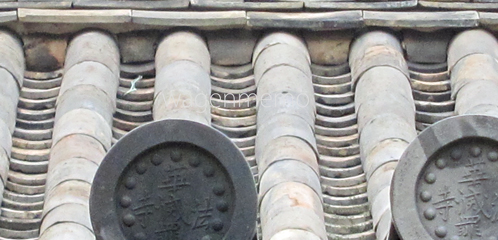 m法華寺本堂屋根ガトウ滅罪寺.jpg