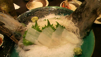 P1010265.jpg