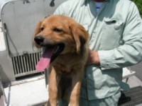 ·§ËÜ»Ô20090723