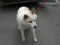 ·§ËÜ»Ô20090729-2