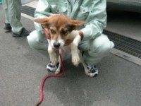 ·§ËÜ»Ô20090730-2