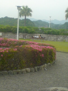 20070529_85192.jpg