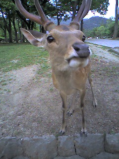 20070606_92316.jpg