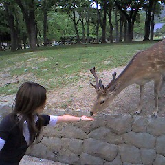 20070606_92337.jpg