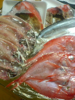 20070608_94256.jpg