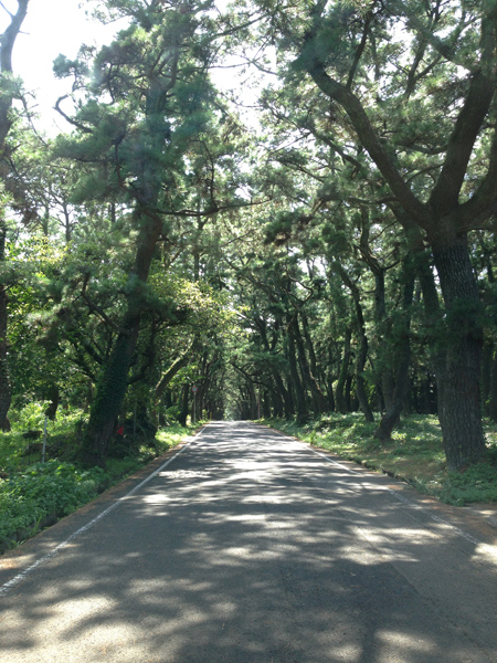 おぢか島