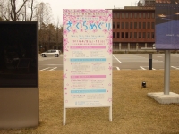 さくらめぐり看板