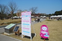 乙女の金沢 春ららら市