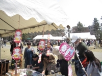だるまブラブラ