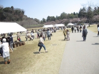 しいのき迎賓館
