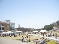 春ららら市 二日目