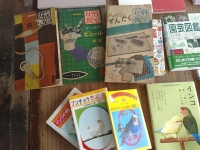 オヨヨ書林 女子のたしなみ