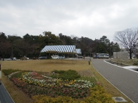 しましまテント