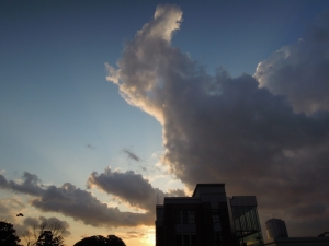 春ららら市2012初日