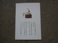 ぶどう蔓 高木糀商店