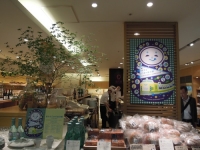 福光屋 乙女の金沢展