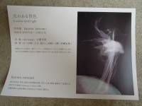 白鷺美術 写真展