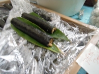 春ららら市2013 niginigi 海苔巻き