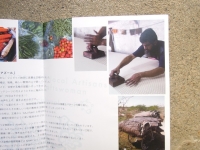 橙灯 小石川 Ajrakh 永遠のアズール展