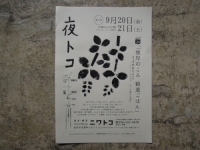 ニワトコの夜トコ