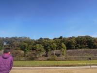 しいのき迎賓館 冬の友 NAKADA