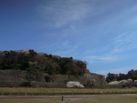 春ららら市 テント