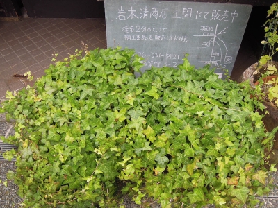 エフスタイル F/style 金沢