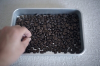 ¤³¤É¤â¹©·Ý½¤¹Ô Äï»Òµá¤à 2017¡¡cowry coffee