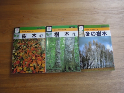 樹木