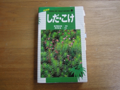 しだ・こけ