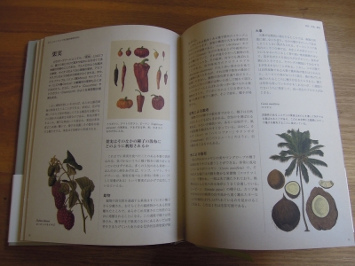 園芸植物学百科