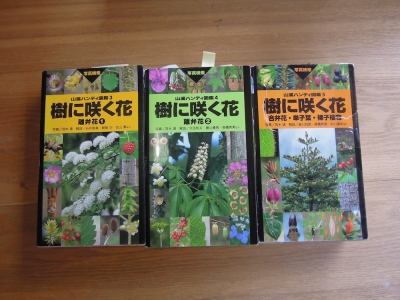 樹に咲く花