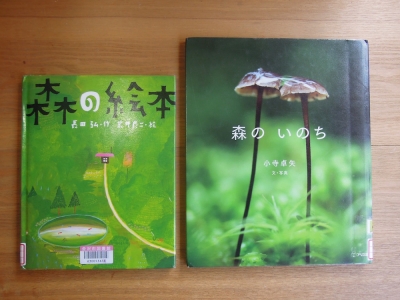 森の絵本 森のいのち
