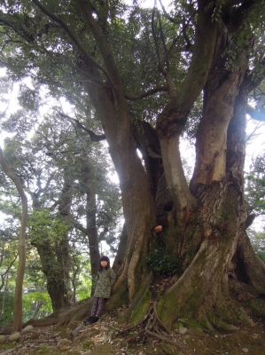 森の中 本多の森公園 金沢
