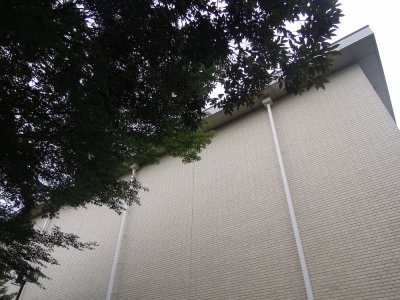 森の中 本多の森公園 金沢