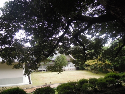 森の中 本多の森公園 金沢